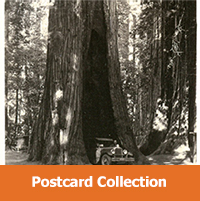 Historic Postcards of Santa Cruz County