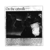 20170705-On the catwalk0001.PDF