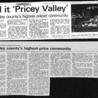 CF-20201108-Call it 'Pricey valley'0001.PDF