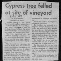 CF-20201022-Cypress tree felled at site of vineyar0001.PDF