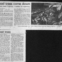 CF-20201018-Dead trees come down0001.PDF