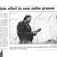 CF-20200213-Resolute effort to save native grasses0001.PDF
