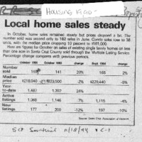 CF-20201108-Local home sales steady0001.PDF