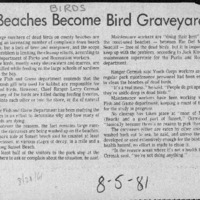 CF-20180105-Beaches become bird graveyard0001.PDF