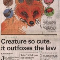 20170608-Creature so cute, it outfoxes the law0001.PDF