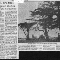CF-20190809-Cypress, pine trees endangered species0001.PDF