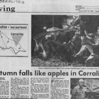CF-20190307-Autumn falls llike apples in Corralito0001.PDF