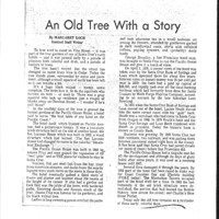CF-2018122-An old tree with a story0001.PDF