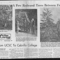 CF-20190814-A few redwood trees between firends0001.PDF