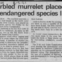 CF-20180106-Marbled murrelet placed on endangered 0001.PDF