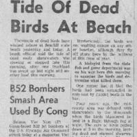 CF-20180106-Tide of dead birds at beach0001.PDF