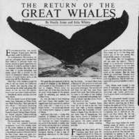 CF-20190711-The return of the great whales0001.PDF
