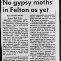 CF-20200621-No gypsy moths in felton as yet0001.PDF