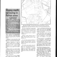 CF-20200624-Gyspy moth spraying in felton area0001.PDF