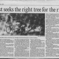 CF-20201018-Arborist seek the right tree for the r0001.PDF