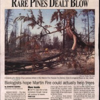 CF-20201022-Rare pines dealt blow0001.PDF