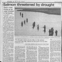 CF-20200112-Salmon threatned by drought0001.PDF