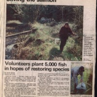 CF-2020016-Volunteers plant 5,000 fishes in hopes 0001.PDF