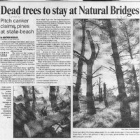 CF-20201018-Dead trees to stay at natural bridges0001.PDF