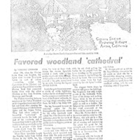 CF-20190118-Favaored woodland 'cathederal'0001.PDF