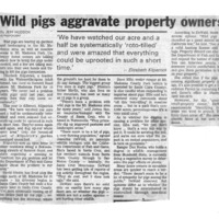 20170609-Wild pigs aggrevate property owner0001.PDF