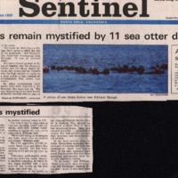 20170608-Scientists remain mystified by 11 sea ott0001.PDF