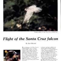 20170607-Flight of the Santa Cruz falcon0001.PDF