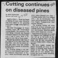 CF-20201018-Cutting continues on diseased pines0001.PDF