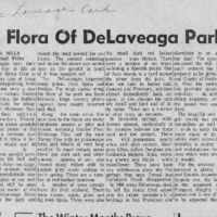 CF-20190322-The flora of Delaveaga park0001.PDF