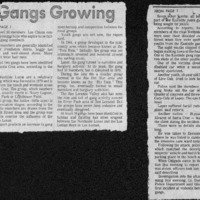 CF-20200520-Gangs growing0001.PDF