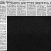CF-20200610-Despite new hurdles, grey whale loggin0001.PDF