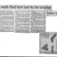 20170608-Will gypsy moth find turn out0001.PDF