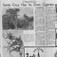 CF-20201022-Santa cruz has its own cypress0001.PDF