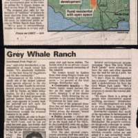 CF-20200610-Grey whale makes a change0001.PDF