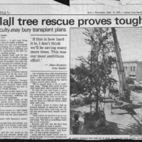 CF-20201018-Mall tree rescue proves tough0001.PDF