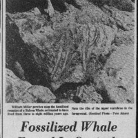 CF-201708120-Fossilized whale found in Capitola0001.PDF