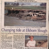 CF-20190807-Changing tide at Elkhorn slough0001.PDF