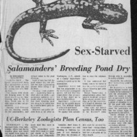 CF-20190808-Sex-starved salamanders; breeding pond0001.PDF