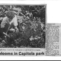 CF-20180405-Spirit blooms in Capitola park0001.PDF