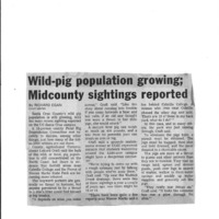 20170609-Wild-pig population growing0001.PDF