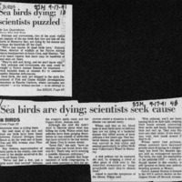 CF-20180106-Sea birds dying; scientists puzzled0001.PDF