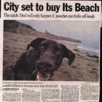 20170607-City set to buy Its Beach0001.PDF