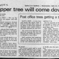 CF-20201018-zpepper tree will come down0001.PDF