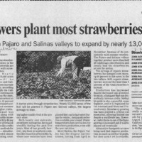 20170526-Growers plant most strawberries0001.PDF