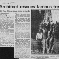 CF-20200920-Architect rescues famous tree0001.PDF