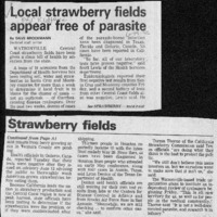 20170526-Local strawberry fields appear0001.PDF