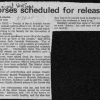 20170607-Horses scheduled for release0001.PDF