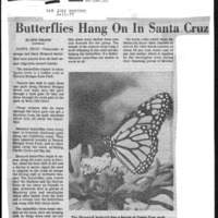 CF-20180725-Butterflies hang on in Santa Cruz0001.PDF