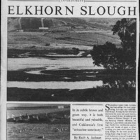 CF-20190807-Elkhorn slough0001.PDF