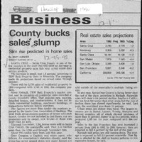CF-20201108-County bucks sales slu,mp0001.PDF